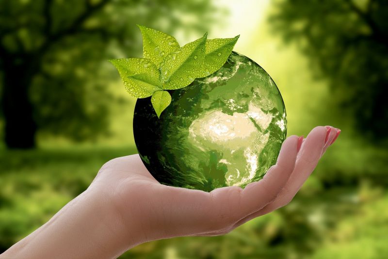 Ekologia w klasie premium – AWILUX w trosce o środowisko!