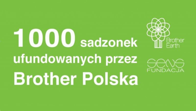 1000 drzew w Górach Stołowych od Brother Polska 