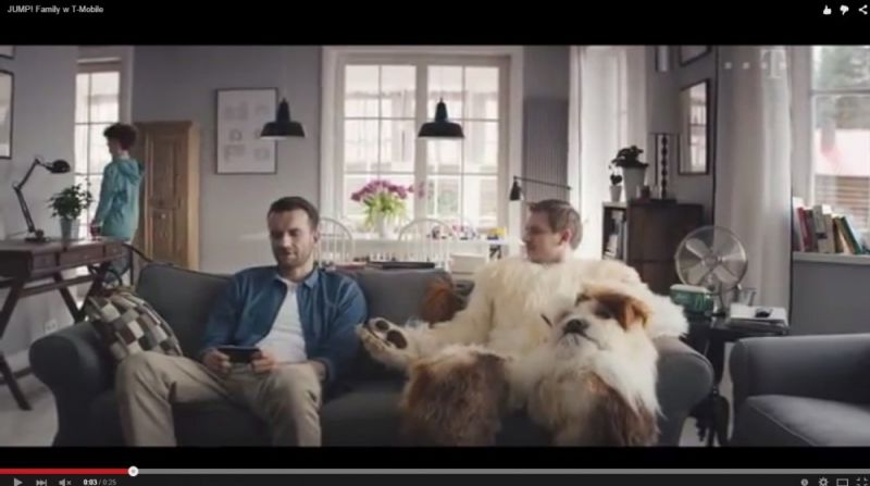 Nawet Kot z psem się dogada - rusza kolejna odsłona nowej kampanii reklamowej T-Mobile Polska