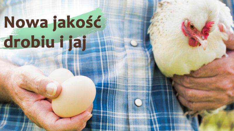 „Bezpieczne z Natury” – gwarancja najwyższej jakości drobiu i jaj