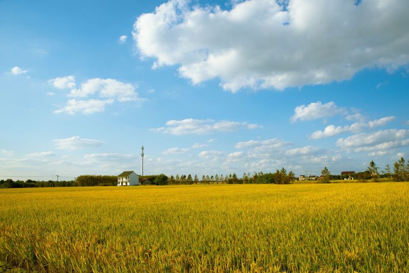 MPZP - czy jest ważny przy planowaniu inwestycji w nieruchomości?