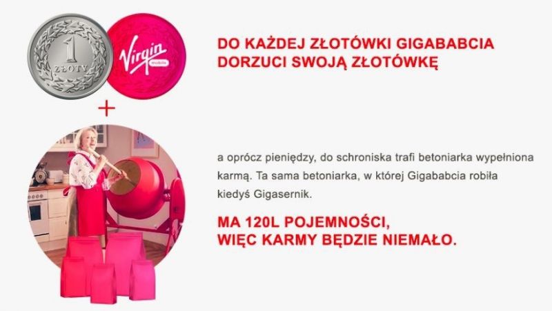 Virgin Mobile pomaga bezdomnym czworonogom poprzez swój kanał na Allegro.pl