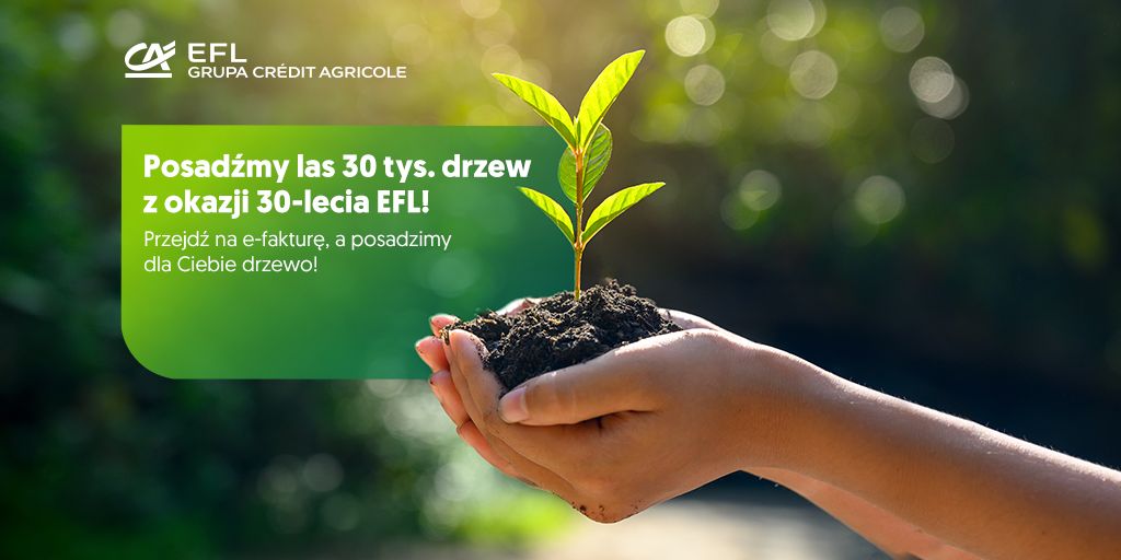 30 tysięcy drzew na 30 lat działalności. EFL posadzi las na Warmii