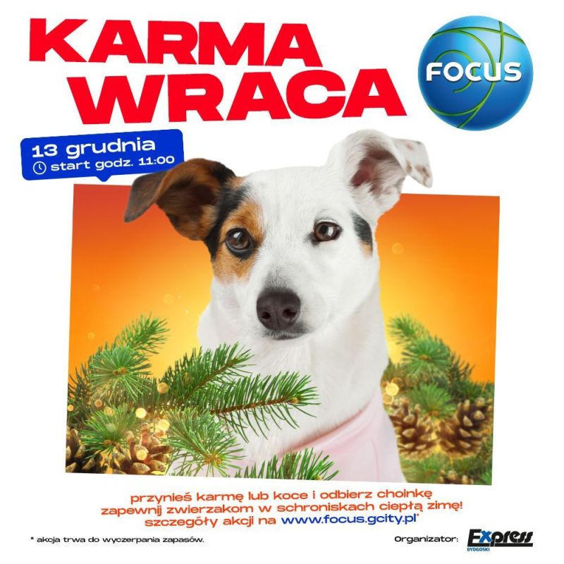 CH Focus zaprasza do dzielenia się dobrem – świąteczna akcja charytatywna