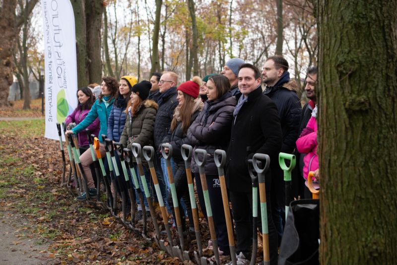 Zabytkowy park dolnośląski w Pietrzykowicach otrzymał nowe drzewa