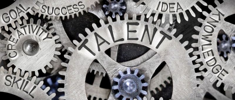 Zarządzanie talentami w IT