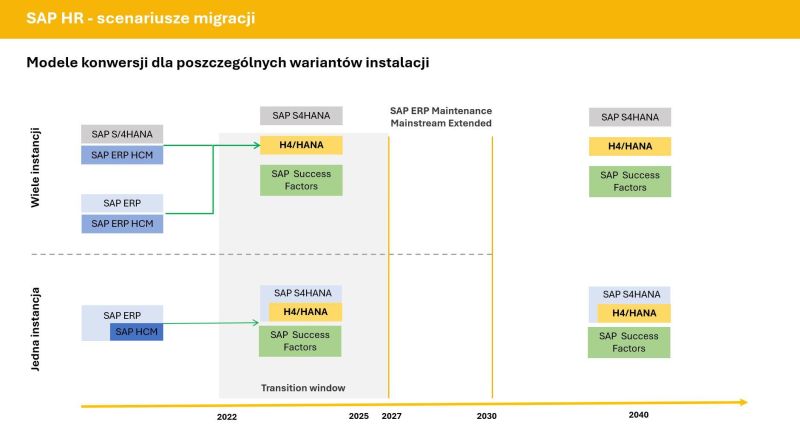 Scenariusze konwersji, czyli warianty migracji do systemu S/4HANA