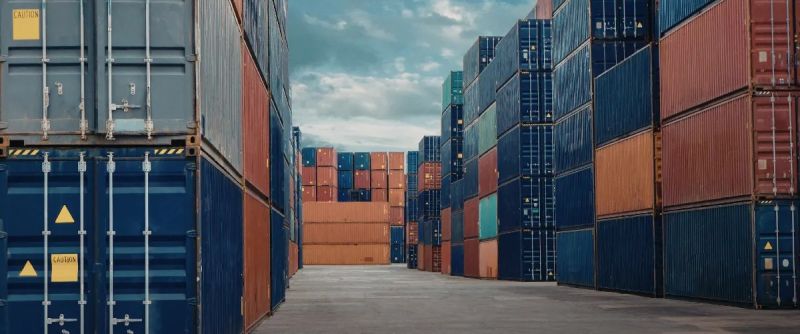 Od efektywności do odporności – CEVA Logistics o nowym podejściu do ryzyka w łańcuchu dostaw